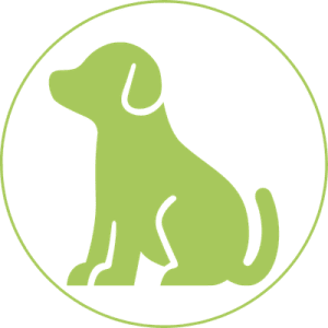 Grünes Symbol mit sitzendem Hund zeigt, dass Hunde erlaubt sind.