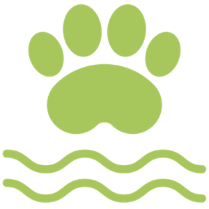 Grüne Hundepfote über Wellen als Symbol für Hundestrand.